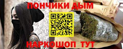 тгк Новодвинск