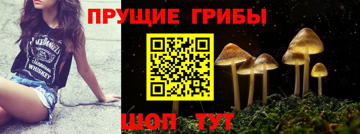 Псилоцибиновые грибы Psilocybine cubensis  Вход с VPN  Тимашёвск  Псилоцибиновые грибы прущие грибы 
